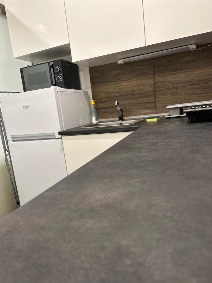 Villa Magdalena Apartments & Rooms マリボル エクステリア 写真